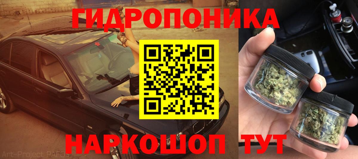 Канабис White Widow  Марихуана сатива  Конопля конопля  Новороссийск  Вход с VPN 